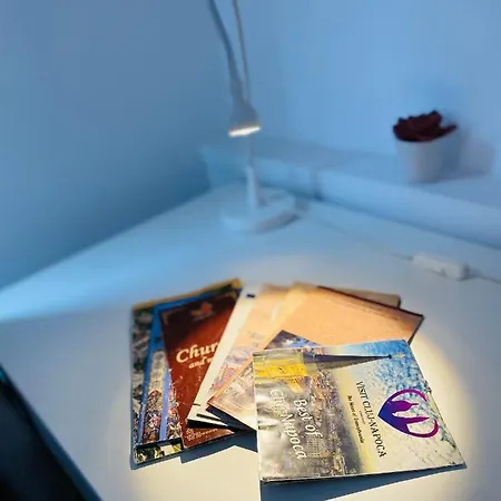 Downtown Studio * Клуж-Напока